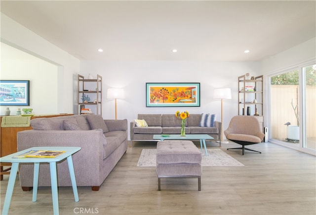 living room featuring light hardwood / wood-style floors