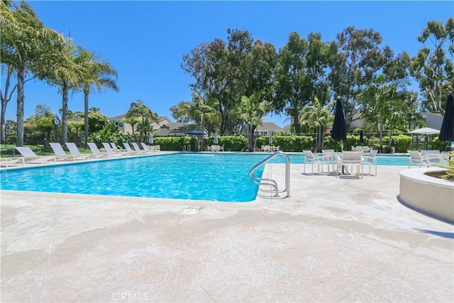 view of pool with a patio