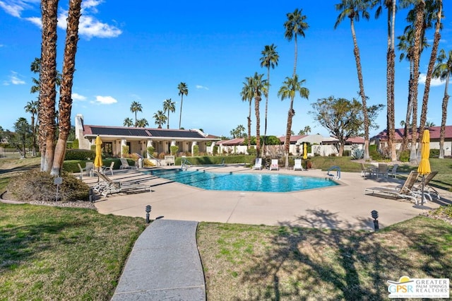 view of pool featuring a patio and a yard