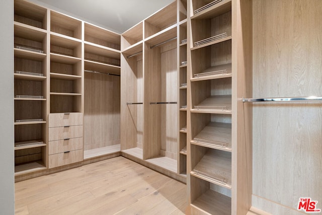 spacious closet with hardwood / wood-style flooring