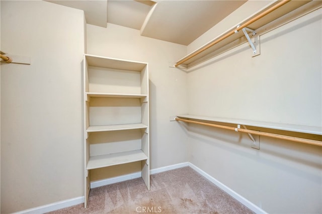 spacious closet featuring light carpet