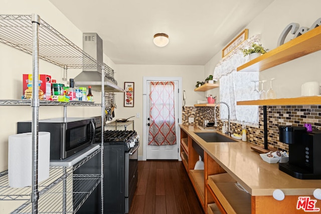 kitchen featuring sink, dark hardwood / wood-style floors, range hood, tasteful backsplash, and stainless steel appliances