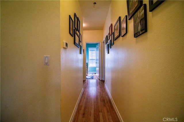 corridor featuring hardwood / wood-style floors