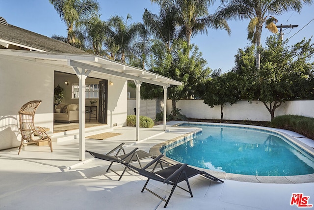 view of pool with a patio