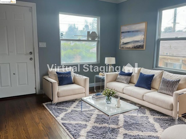 living room with dark hardwood / wood-style flooring