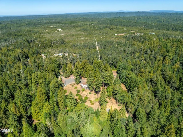 31026 Albion Ridge L Rd, Albion, CA 95410 - photo 44