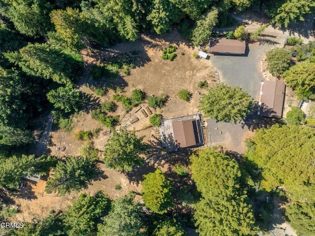 31026 Albion Ridge L Rd, Albion, CA 95410 - photo 43