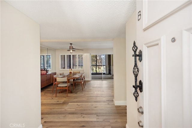 dining space featuring ceiling fan, a textured ceiling, and light hardwood / wood-style flooring