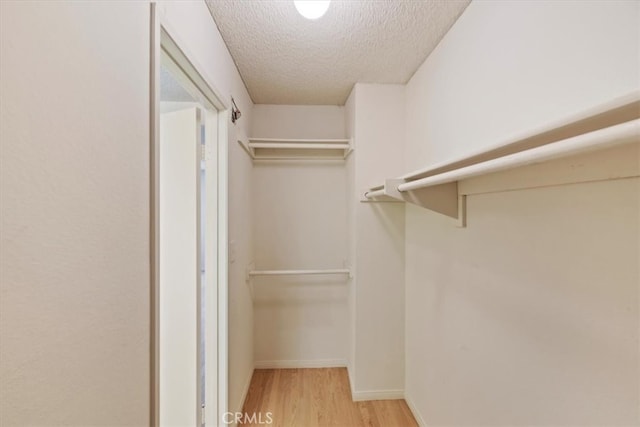 walk in closet featuring light hardwood / wood-style floors