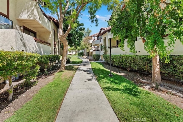 view of community featuring a yard