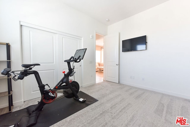 workout room featuring light carpet