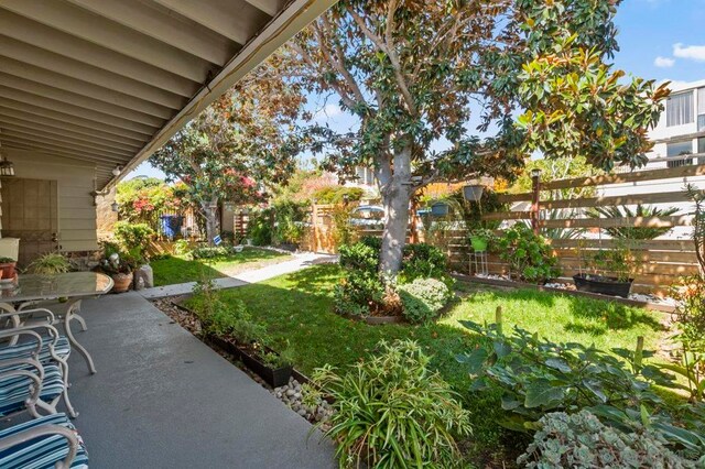 view of yard with a patio