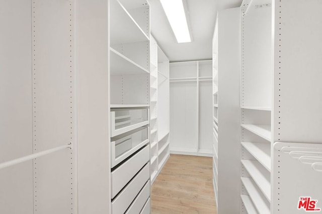 walk in closet with light wood-type flooring