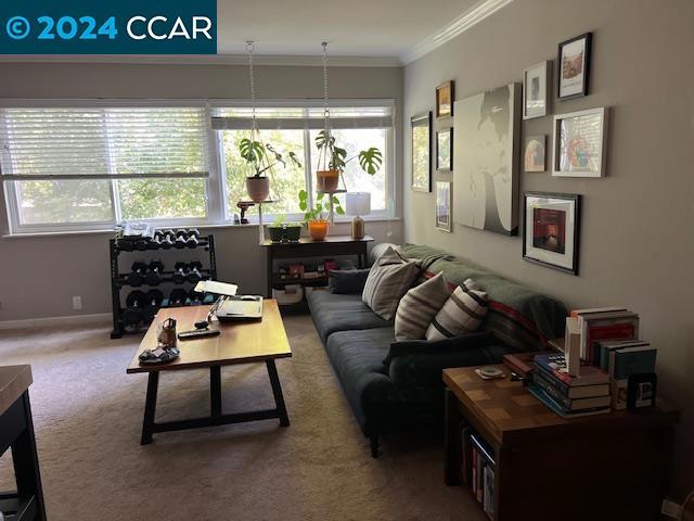 living room with carpet flooring and crown molding