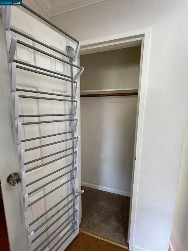 spacious closet featuring carpet floors and radiator heating unit