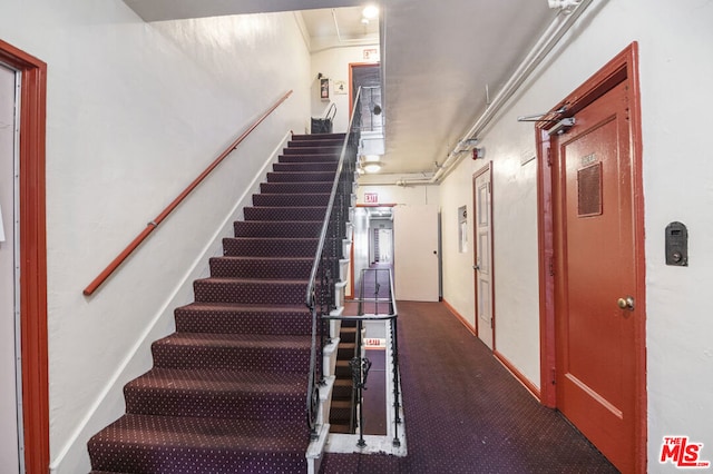 stairs featuring carpet and ornamental molding