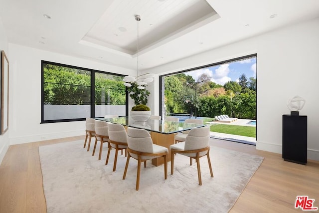 dining room featuring a tray ceiling, light hardwood / wood-style flooring, and a wealth of natural light