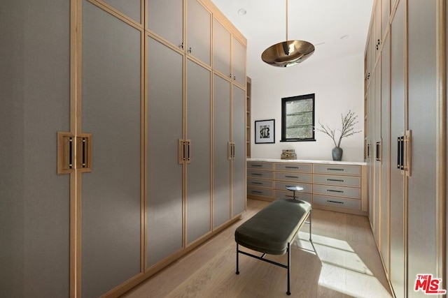 bathroom featuring hardwood / wood-style flooring