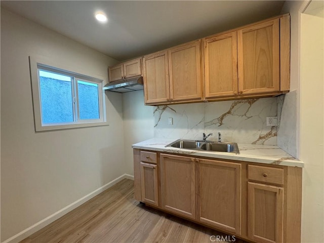 kitchen featuring tasteful backsplash, sink, and light hardwood / wood-style flooring