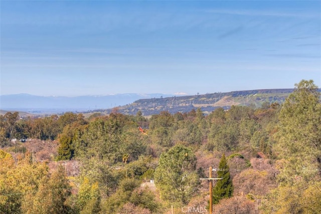 property view of mountains with a view of trees