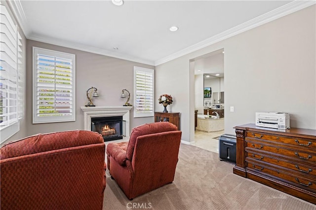 carpeted living room featuring ornamental molding and a healthy amount of sunlight