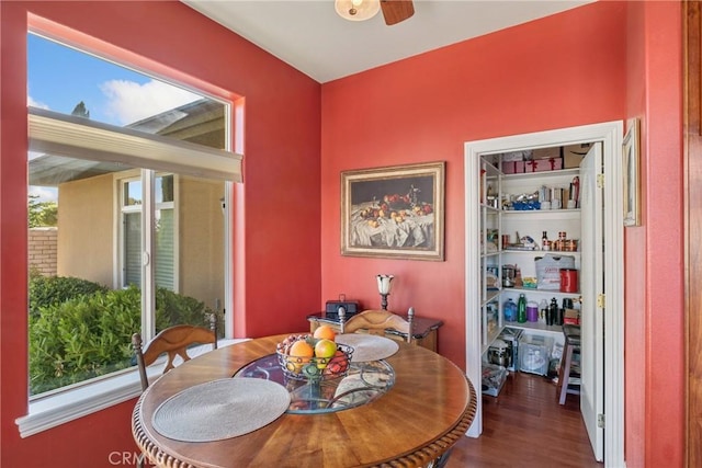 dining space with dark hardwood / wood-style flooring and ceiling fan