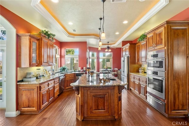 kitchen featuring dark wood-type flooring, decorative light fixtures, a center island, a raised ceiling, and stainless steel appliances