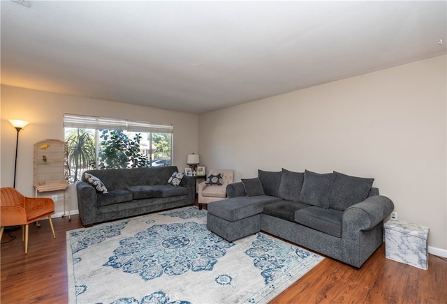 living room with wood-type flooring