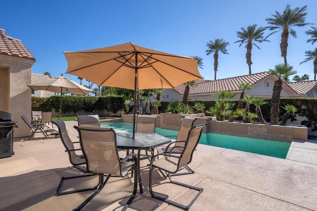 view of pool featuring a patio