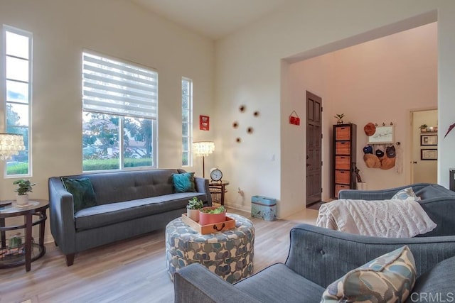 living room with light wood-type flooring and a healthy amount of sunlight