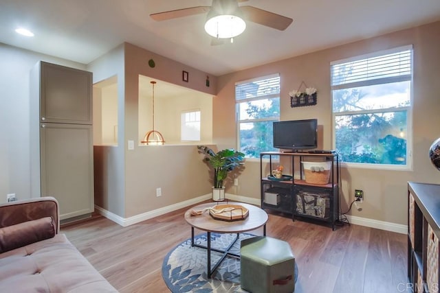 living room with ceiling fan and light hardwood / wood-style flooring