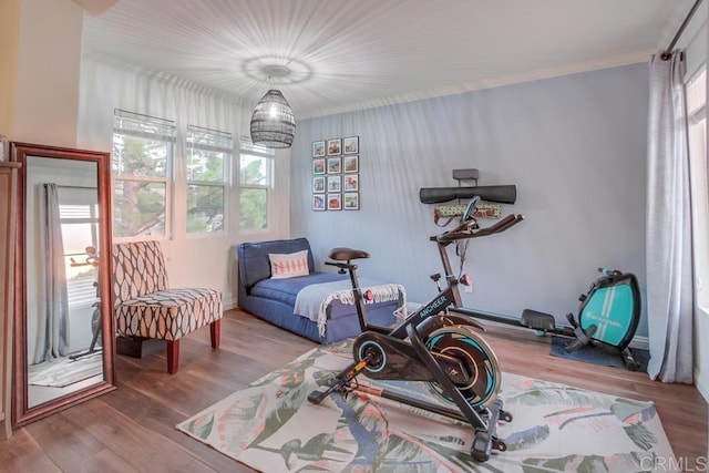 sitting room with a chandelier, wood-type flooring, crown molding, and a healthy amount of sunlight