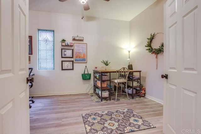 office space featuring light hardwood / wood-style flooring and ceiling fan