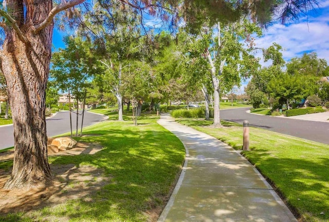 view of home's community featuring a lawn