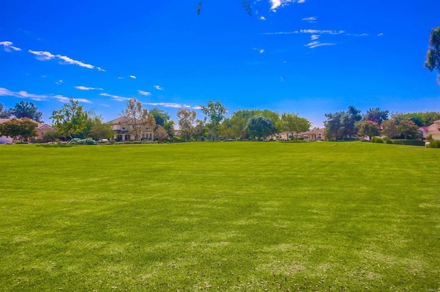 view of home's community with a lawn