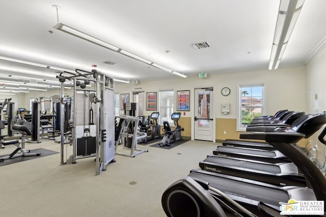 gym featuring ornamental molding and carpet