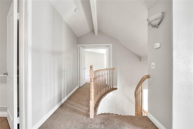 corridor featuring vaulted ceiling with beams and carpet