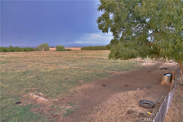 view of yard with a rural view