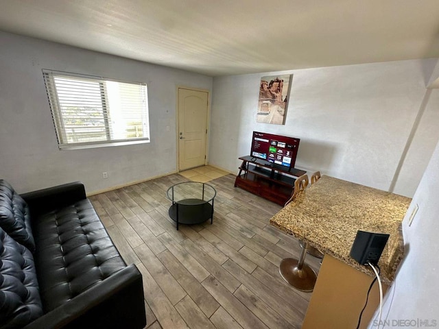 living room featuring light hardwood / wood-style floors