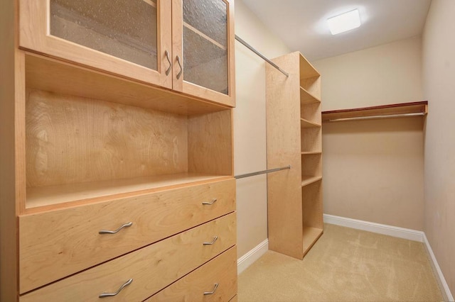 spacious closet with light carpet