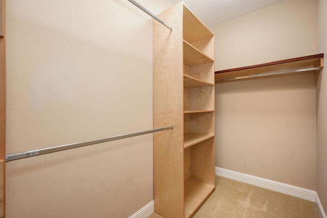 walk in closet with light colored carpet