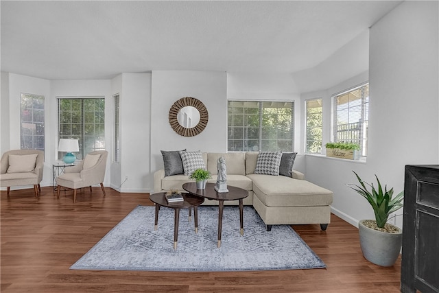 living room with wood-type flooring