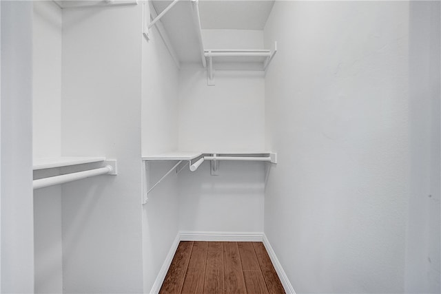 spacious closet featuring wood-type flooring