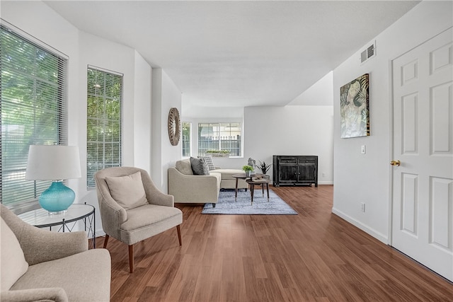 living room featuring hardwood / wood-style flooring