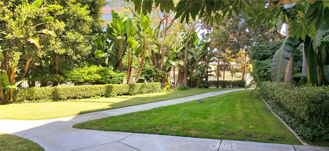 view of property's community featuring a lawn