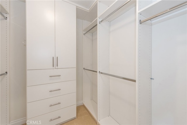 spacious closet featuring light colored carpet