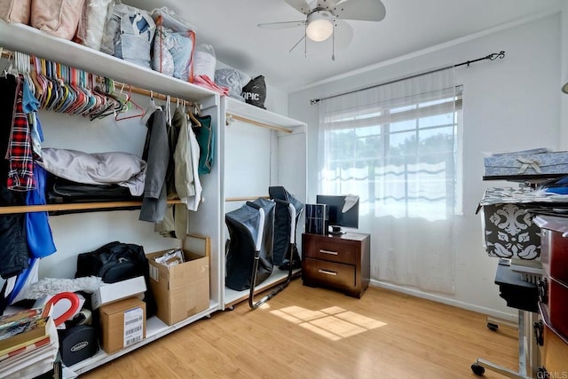 spacious closet featuring ceiling fan and light hardwood / wood-style flooring