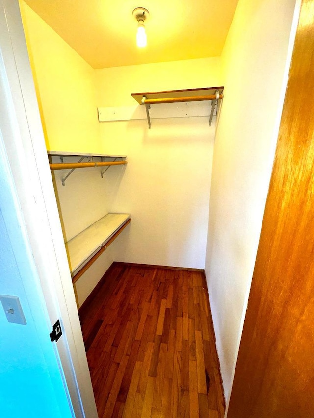 spacious closet featuring wood-type flooring