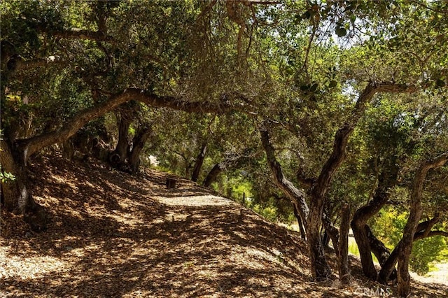 1385 Corberosa Dr, Arroyo Grande, CA 93420 - view of landscape with a forest view