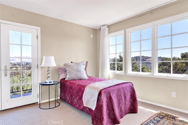 bedroom featuring multiple windows and carpet